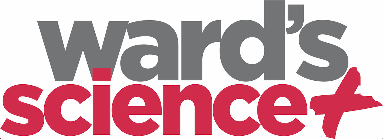 Ward's Science
