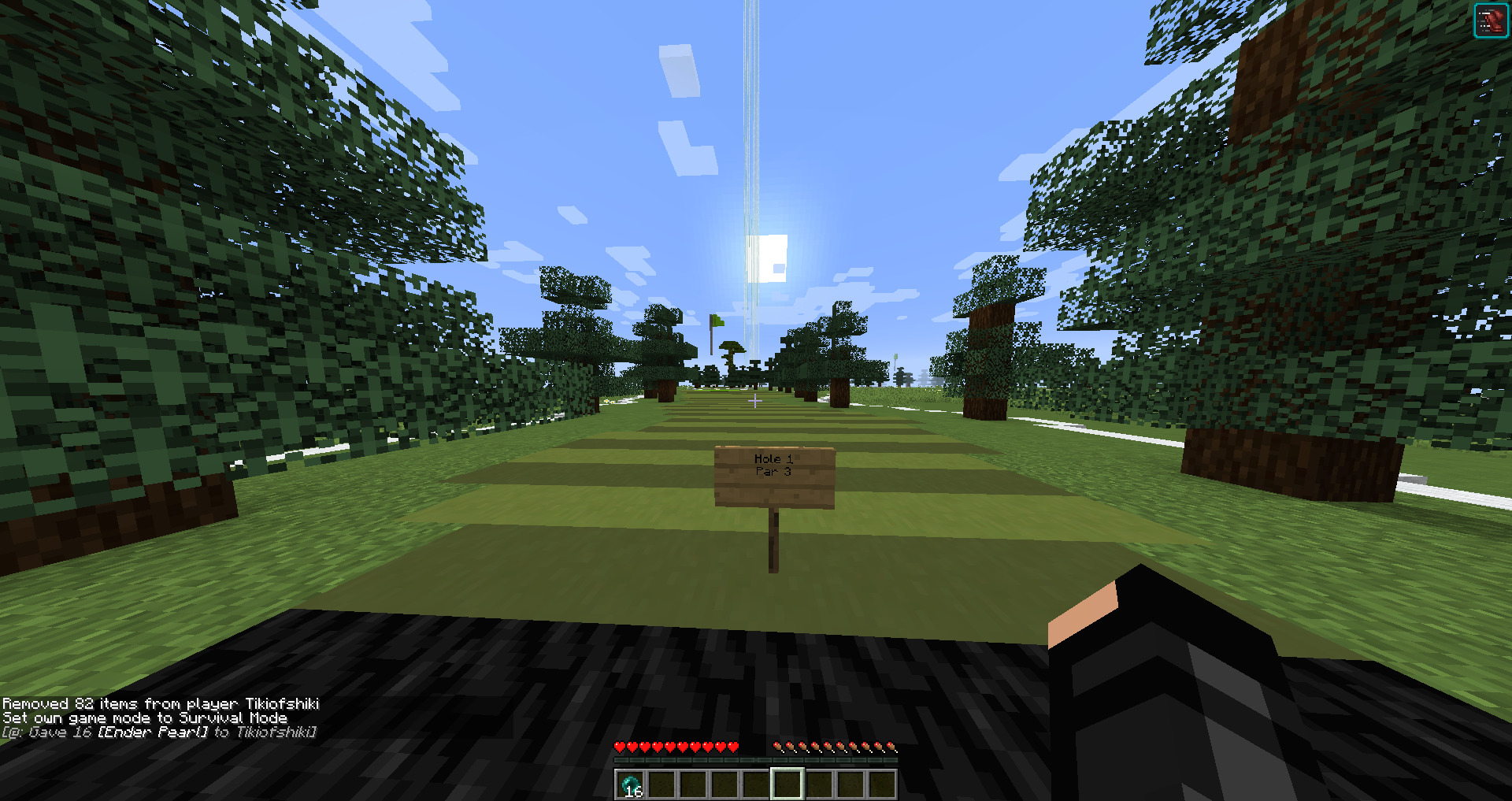 Ender Golf Preview Example Course BrainStorm STEM Education