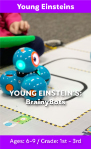 YE-BrainyBots